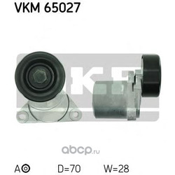  ,   (Skf) VKM65027