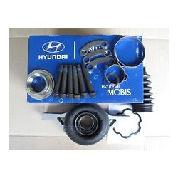   (Hyundai-KIA) 495752P000