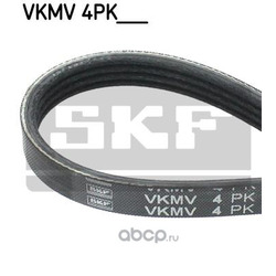   (Skf) VKMV4PK875