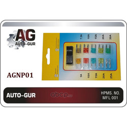     5 30 (Auto-GUR) AGNP01