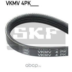   (Skf) VKMV4PK718