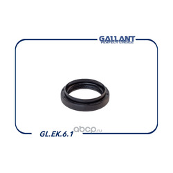   (Gallant) GLEK61