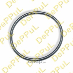 Кольцо уплотнительное дроссельной заслонки (DePPuL) DEBZ0299