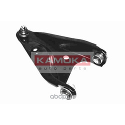 ����� ����������� �������� ������ �������� ������ (KAMOKA) 995778