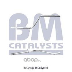    (BM Catalysts) BM50366