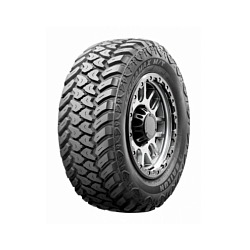      (Motorherz) R22542NW