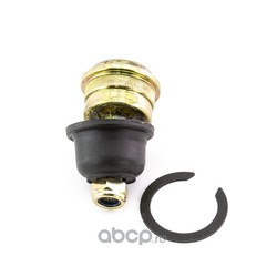 ����� ������� �������� (DOMINANT) HY54053025000