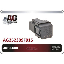  (Auto-GUR) AG252309F915