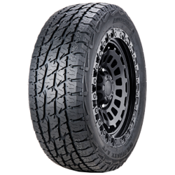   (SAMSUNG - RENAULT) 4220131210