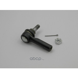 ������ (NTY) SKZNS024