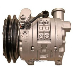 ,  (LIZARTE) 811436011