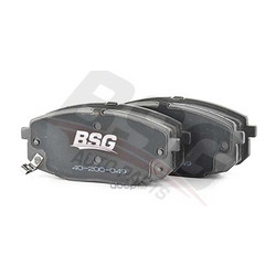    (BSG) BSG40200049