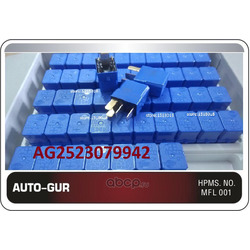  (Auto-GUR) AG2523079942
