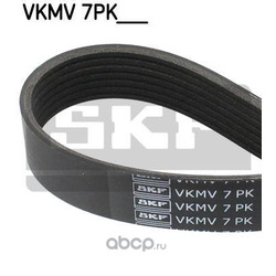   (Skf) VKMV7PK1816