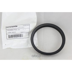 ������ ��������� (DATSUN) 173425M303