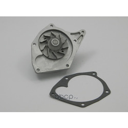 ����� ���������� ������ ���������� (NTY) CPWNS072