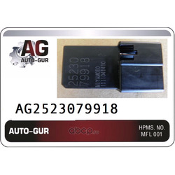  (Auto-GUR) AG2523079918