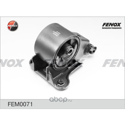   (FENOX) FEM0071