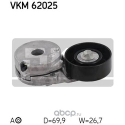  ,   (Skf) VKM62025