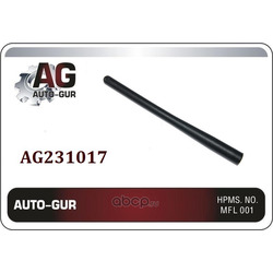   (Auto-GUR) AG231017