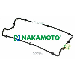 (Nakamoto) G060243