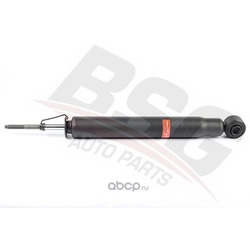 �����������- ������ ������ ����� (BSG) BSG40300029