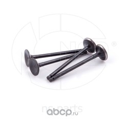    (NSP) NSP022221233000