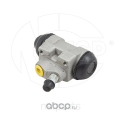     (NSP) NSP025833025000