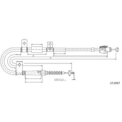 ���� (Cabor) 172557