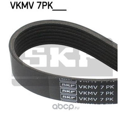   (Skf) VKMV7PK1701