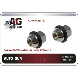   (Auto-GUR) AG0K9A237160