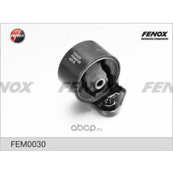   (FENOX) FEM0030