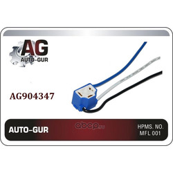    H4   (Auto-GUR) AG904347