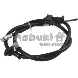 ���� (ASHUKI) HRK12419