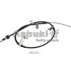 ���� (ASHUKI) HRK12956