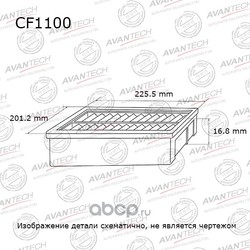   (AVANTECH) CF1100