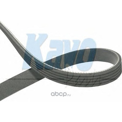   (kavo parts) DMV4018