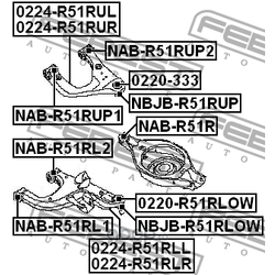      (Febest) NABR51RL2