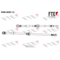   (FTE Automotive) 650E865E12