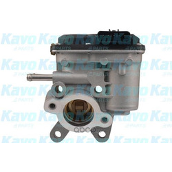     (kavo parts) EEG6503