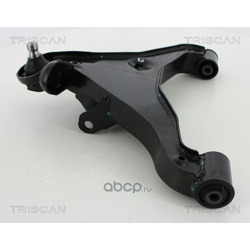 ����� ����������� �������� ������ (TRISCAN) 850014562