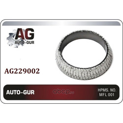    (Auto-GUR) AG229002