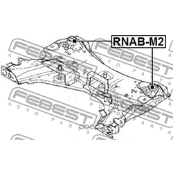    (Febest) RNABM2