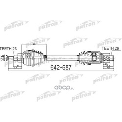  (PATRON) PDS0524