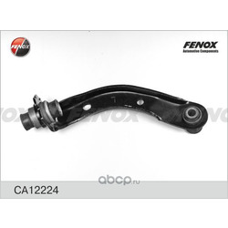  (FENOX) CA12224