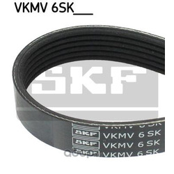   (Skf) VKMV6SK1019