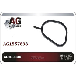   (Auto-GUR) AG1557898