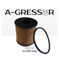 ������ �������� (A-GRESSOR) 01AM0031