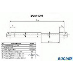  ,   (BUGIAD) BGS11001
