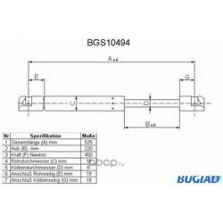  ,   (BUGIAD) BGS10494